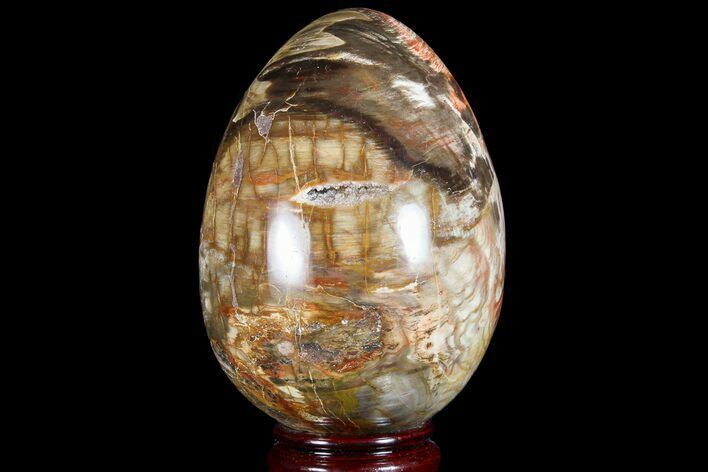 Colorful, Polished Petrified Wood Egg - Triassic #74737